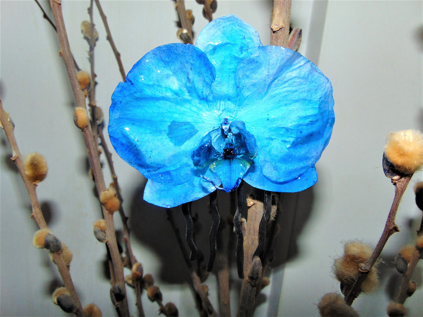 Hair comb, true blue phalaenopsis orchid
