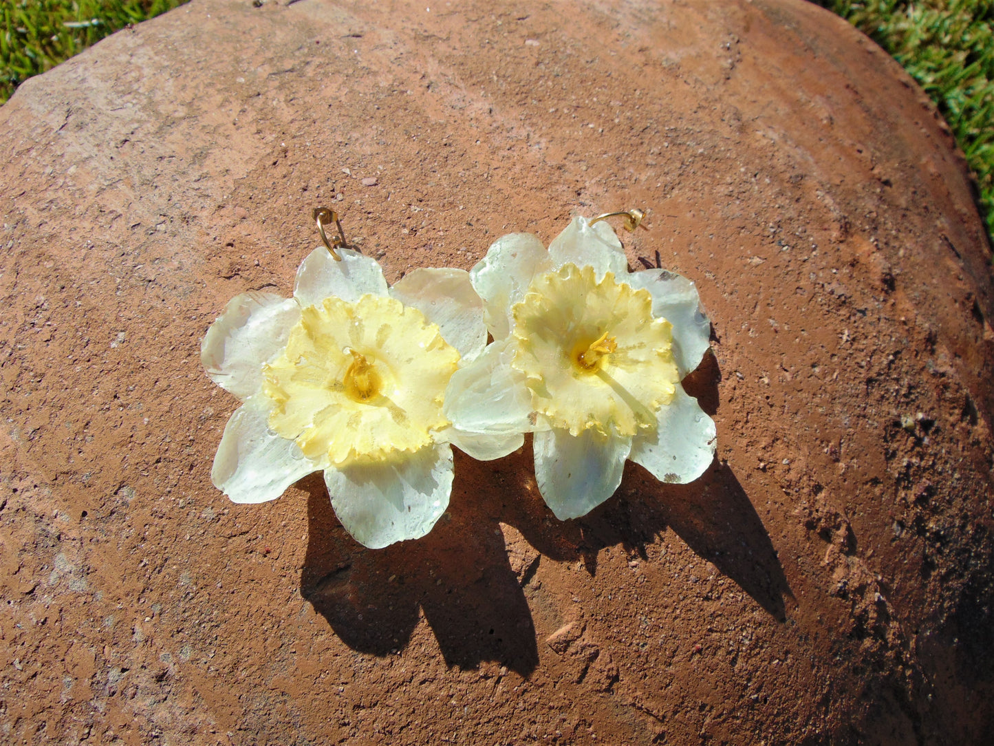 Real flower earrings large narcissus