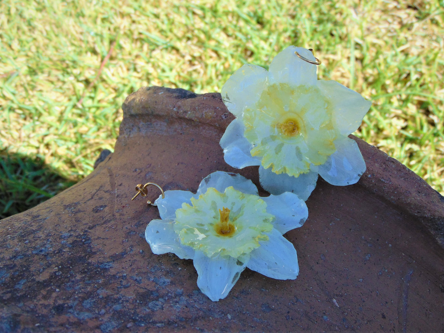 Real flower earrings large narcissus