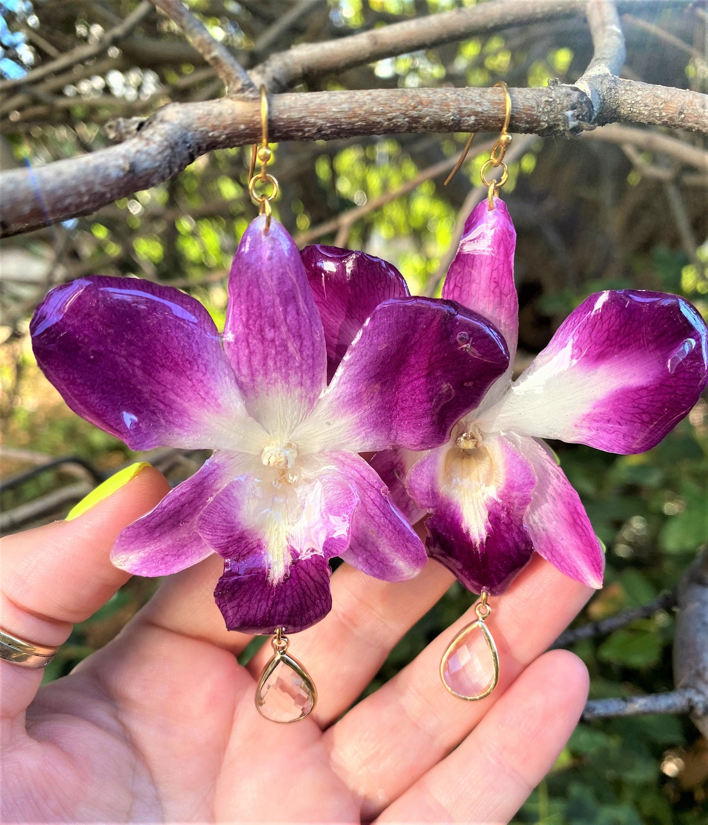 Earrings real orchid flower dendrobium sonia purple
