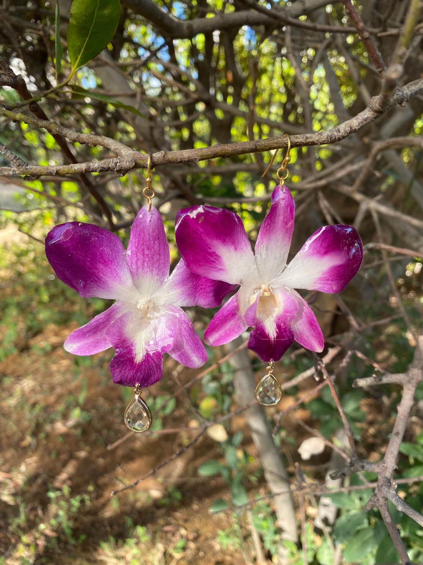 Earrings real orchid flower dendrobium sonia purple