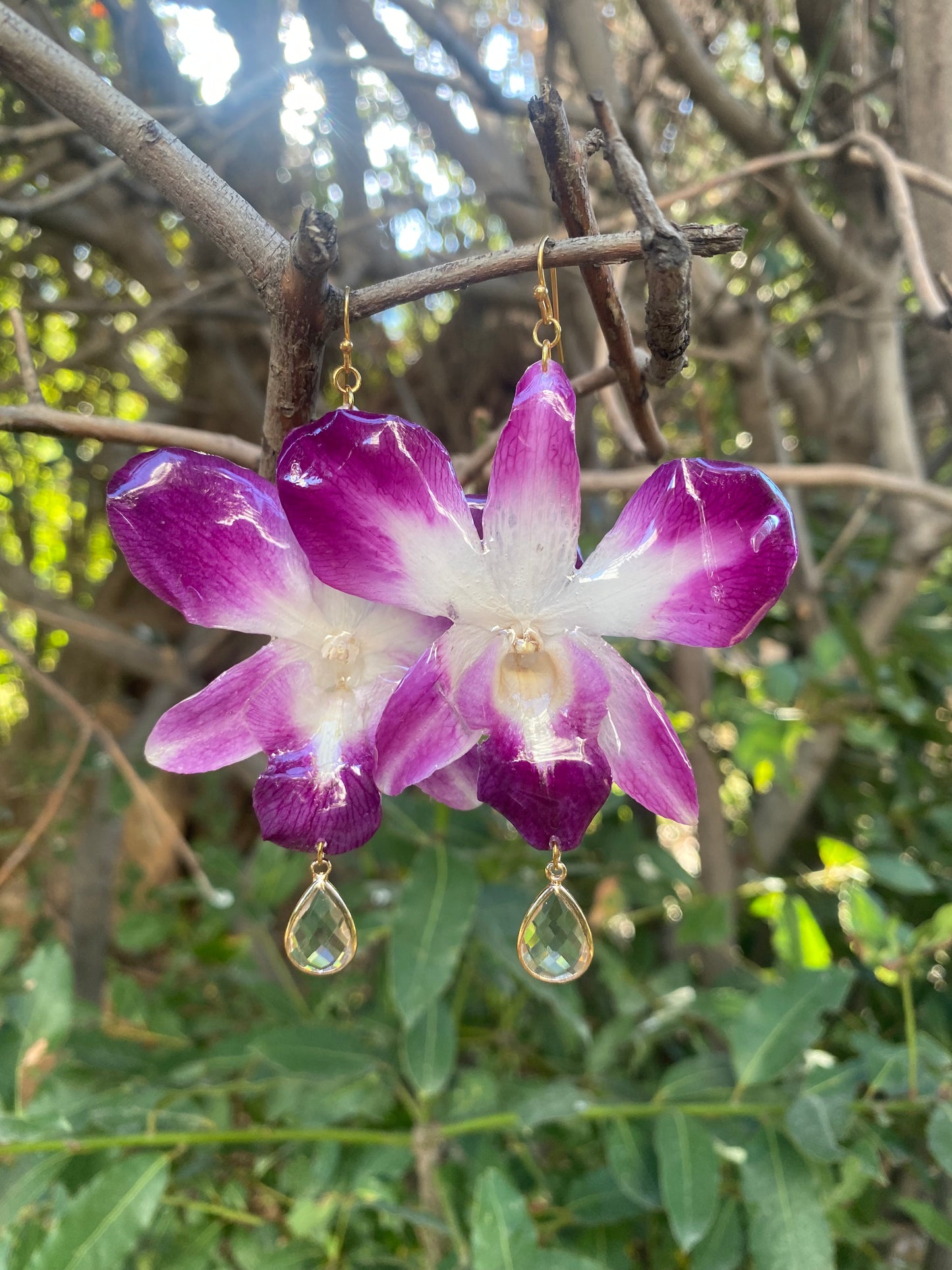 Earrings real orchid flower dendrobium sonia purple