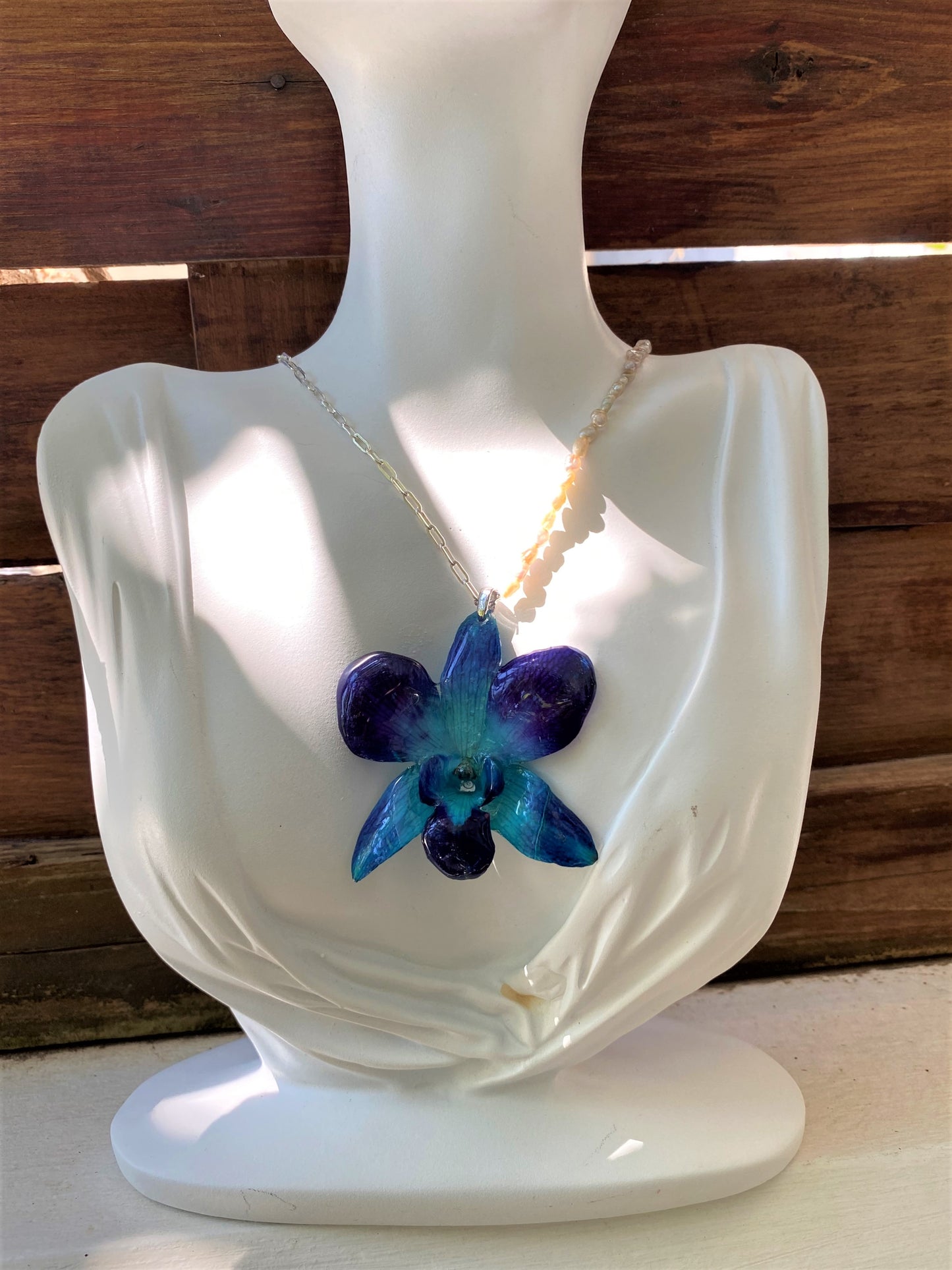 Pendant real orchid dendrobium sonia blue