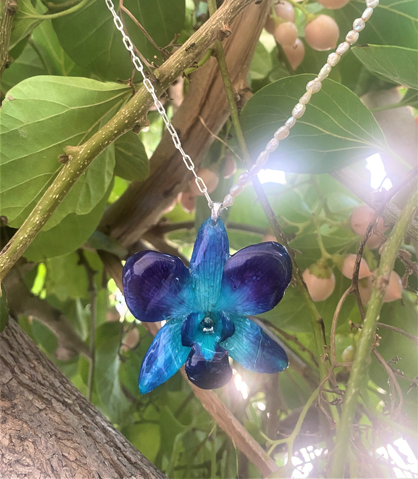 Pendant real orchid dendrobium sonia blue