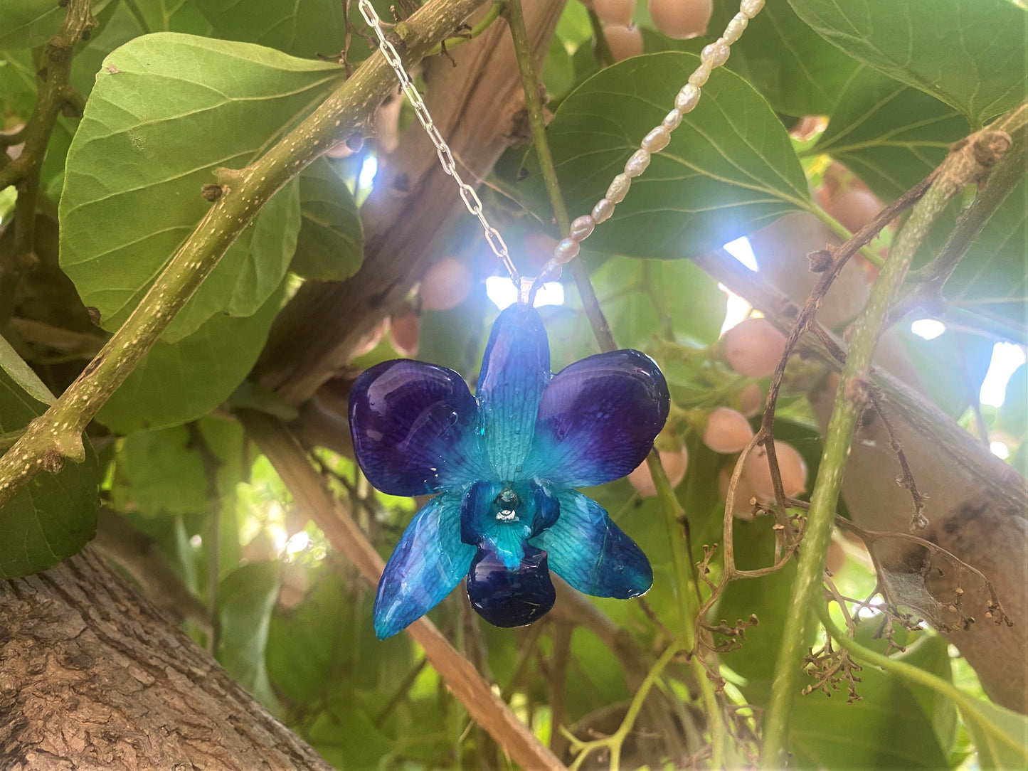 Pendant real orchid dendrobium sonia blue