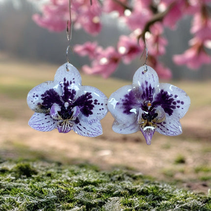 Earrings real orchid phaleanopsis white - purple
