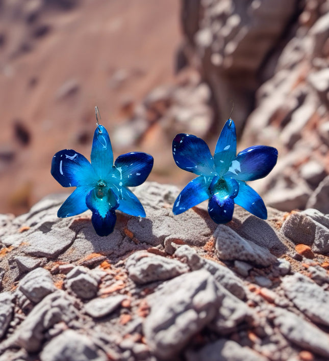 Σκουλαρίκια αληθινό λουλούδι ορχιδέας dendrobium sonia blue