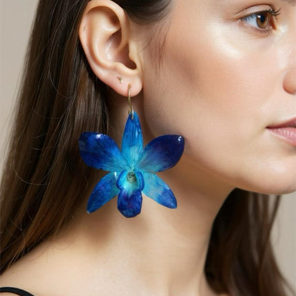 Earrings real orchid flower dendrobium sonia blue