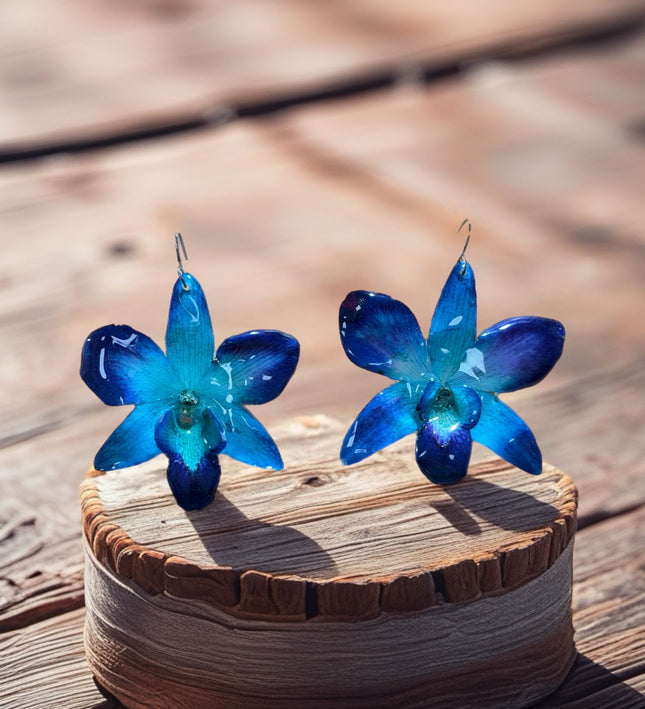 Σκουλαρίκια αληθινό λουλούδι ορχιδέας dendrobium sonia blue