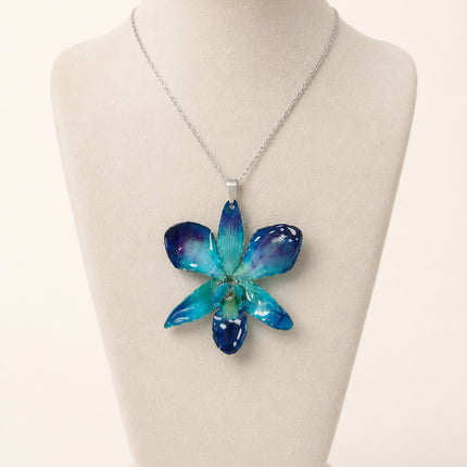 Pendant real orchid dendrobium sonia blue