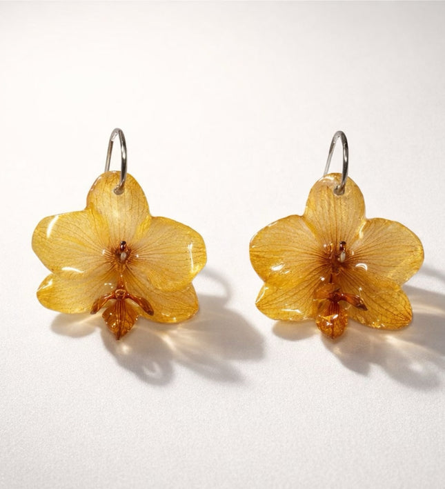 Real mini Phalaenopsis orchid flower earrings
