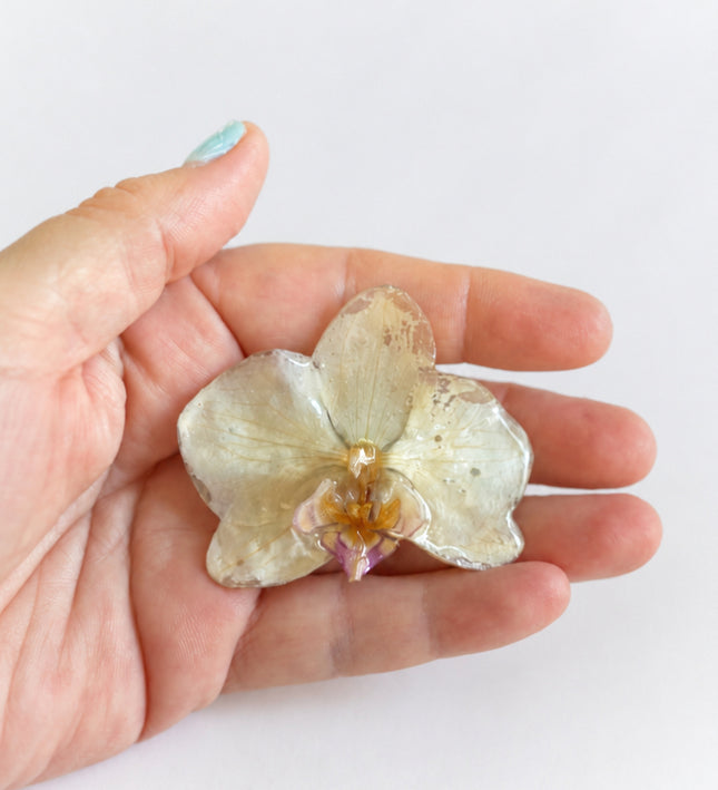 Real purple orchid hair clips