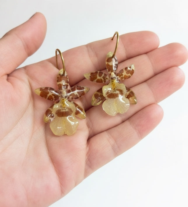 Earrings with Real Cambria "Tiger" Orchid in Resin