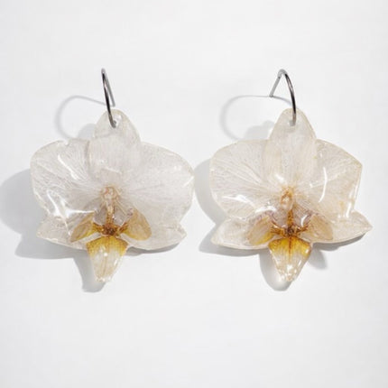 Real mini Phalaenopsis orchid flower earrings