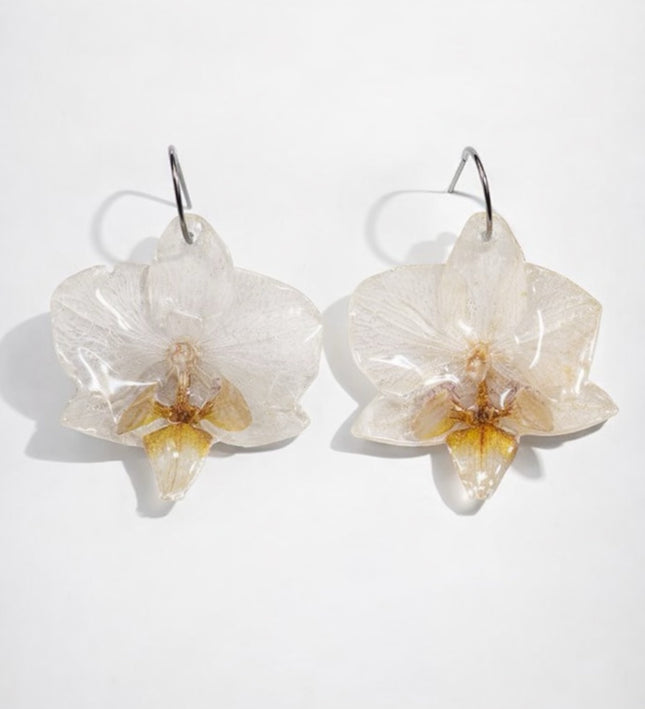 Real mini Phalaenopsis orchid flower earrings
