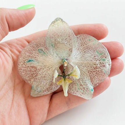 Καρφίτσα με Αληθινή Ορχιδέα Phalaenopsis σε υγρό γυαλί