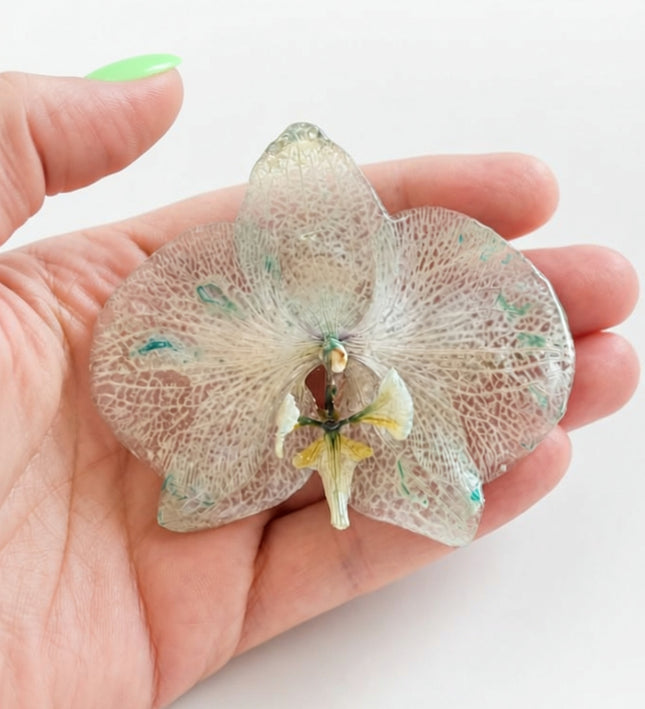 Καρφίτσα με Αληθινή Ορχιδέα Phalaenopsis σε υγρό γυαλί