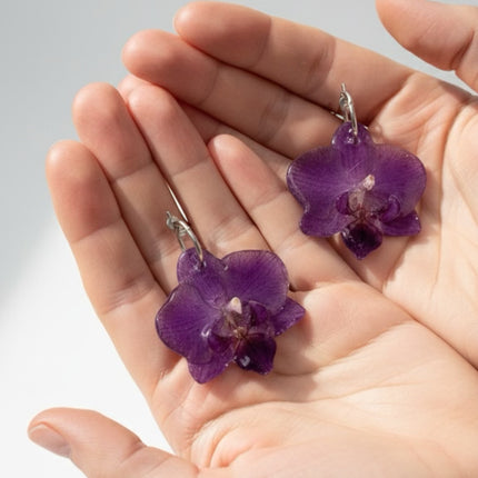 Real mini Phalaenopsis orchid flower earrings