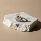 Γαλάζιος - κιτρινος πανσες