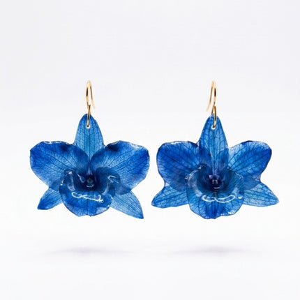 Σκουλαρίκια αληθινή ορχιδέα Dendrobium nobile blue σε υγρό γυαλί