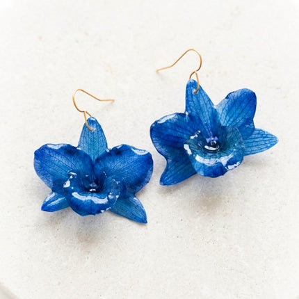 Σκουλαρίκια αληθινή ορχιδέα Dendrobium nobile blue σε υγρό γυαλί