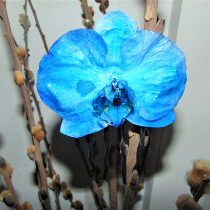 Hair comb, true blue phalaenopsis orchid
