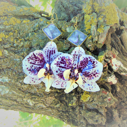 Real orchid earrings white - purple