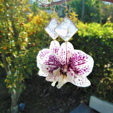 Real orchid earrings white - purple