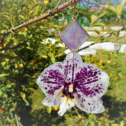 Real orchid earrings white - purple