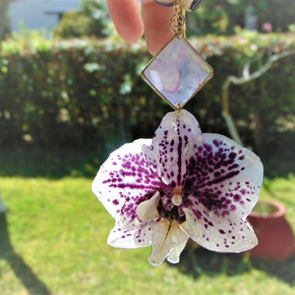 Real orchid earrings white - purple