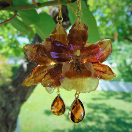 Real tiger orchid earrings 