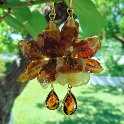 Real tiger orchid earrings 
