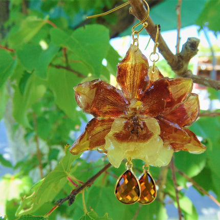 Real tiger orchid earrings 