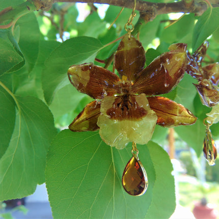 Real tiger orchid earrings 