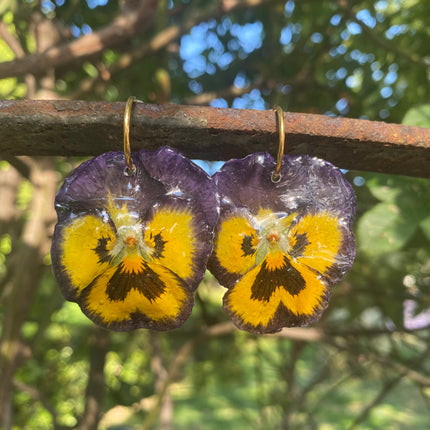 Real pansy flower earrings