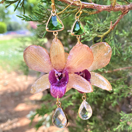Earrings real orchid Dendrobium brown - pink