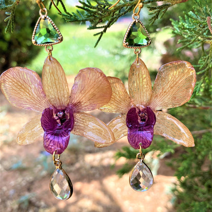 Earrings real orchid Dendrobium brown - pink