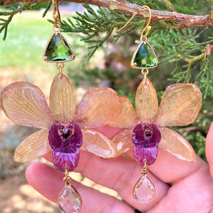 Earrings real orchid Dendrobium brown - pink