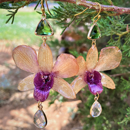 Earrings real orchid Dendrobium brown - pink