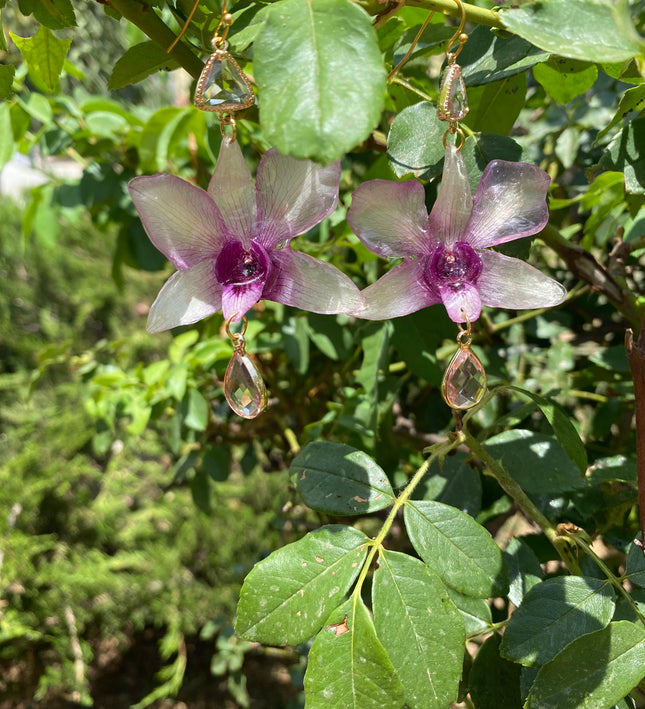 Σκουλαρίκια αληθινή ορχιδέα Dendrobium