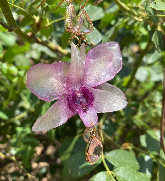 Σκουλαρίκια αληθινή ορχιδέα Dendrobium