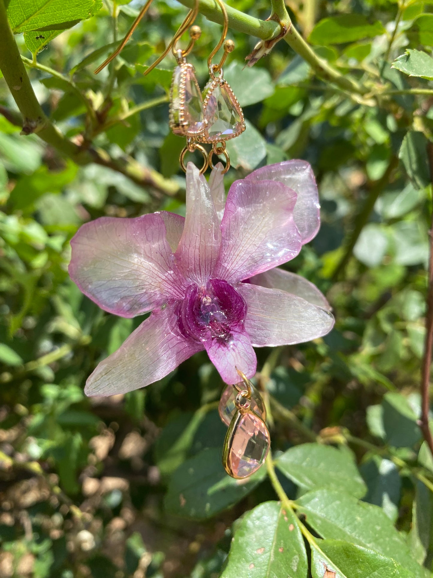 Σκουλαρίκια αληθινή ορχιδέα Dendrobium