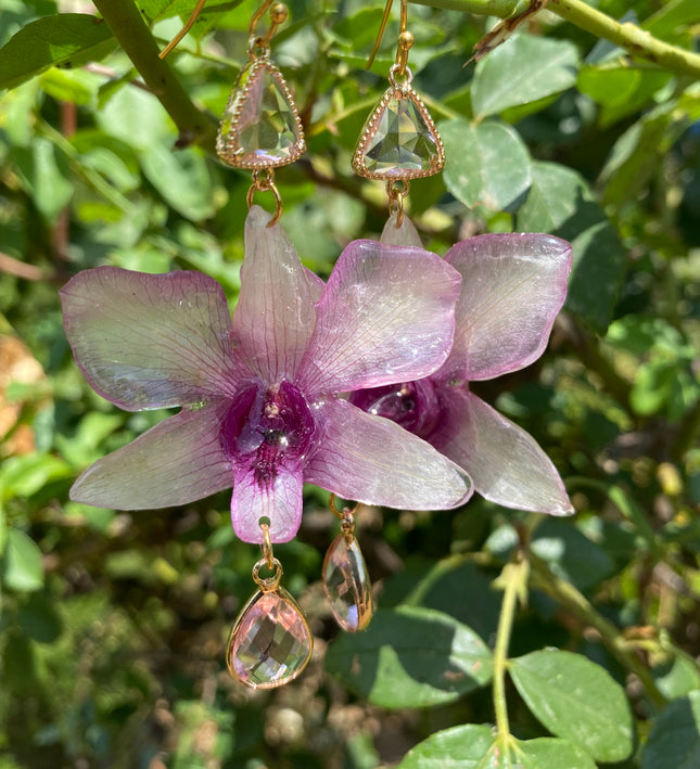 Σκουλαρίκια αληθινή ορχιδέα Dendrobium