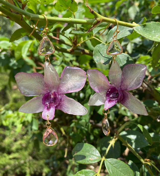 Σκουλαρίκια αληθινή ορχιδέα Dendrobium