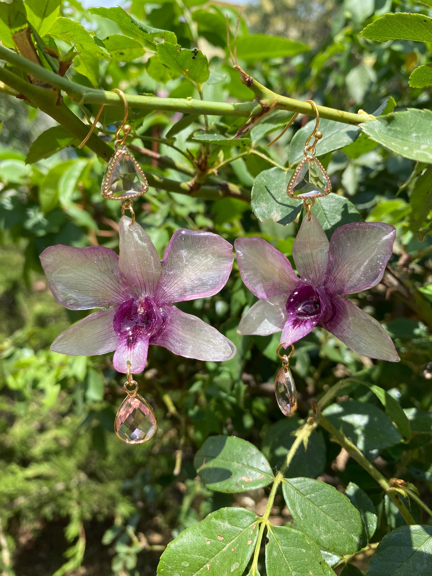 Σκουλαρίκια αληθινή ορχιδέα Dendrobium