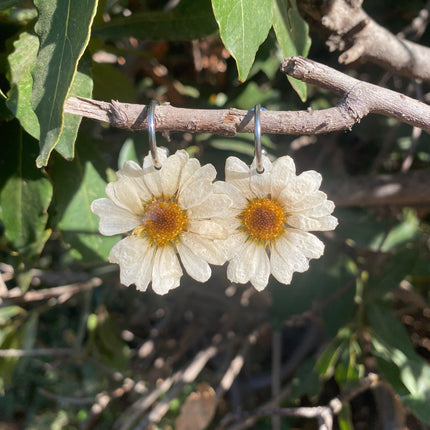 Real mini chrysanthemum earrings