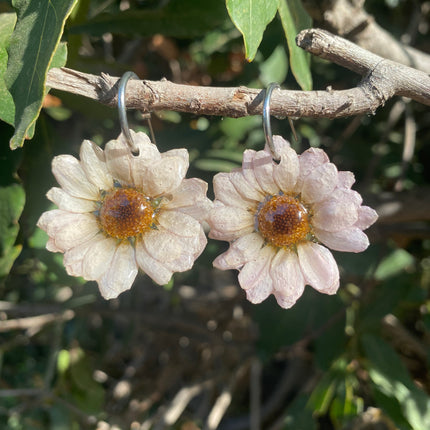 Real mini chrysanthemum earrings