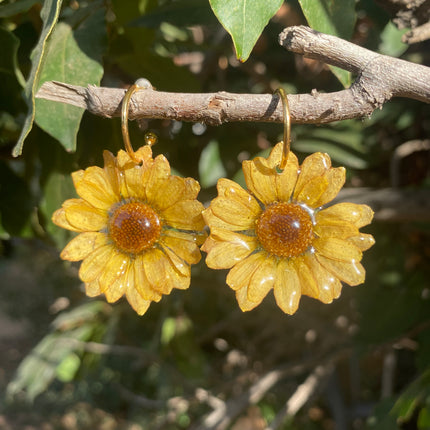 Real mini chrysanthemum earrings