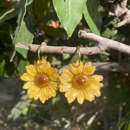 Real mini chrysanthemum earrings