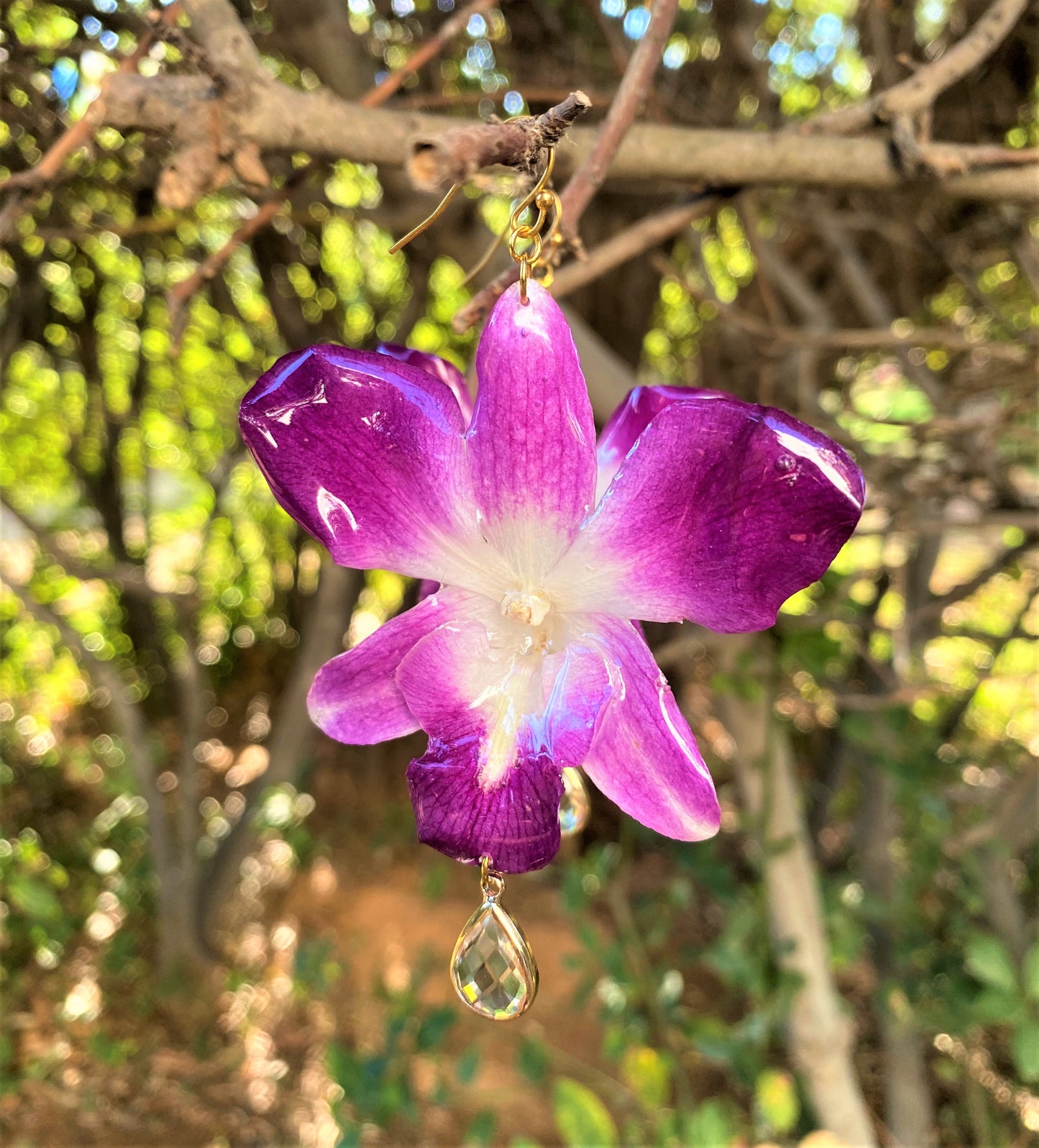 Σκουλαρίκια αληθινό λουλούδι ορχιδέας dendrobium sonia purple